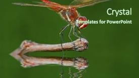 Presentation with dragonfly - Slide deck enhanced with red dragonfly background and a tawny brown colored foreground