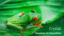  Presentation with costa rica - Slide deck having red-eye-frog-from-costa background and a forest green colored foreground