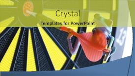  Presentation with frog - 