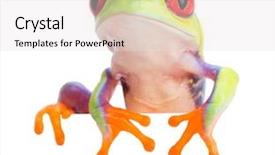  Presentation with costa rica - Presentation theme having red eyed monkey tree frog background and a sky blue colored foreground