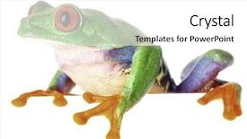  Presentation with tropical forest - Audience pleasing PPT theme consisting of red eyed monkey tree frog backdrop and a white colored foreground