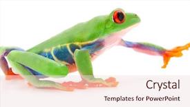 Presentation with frog - Colorful slides enhanced with red eyed tree frog agalychnis backdrop and a lemonade colored foreground