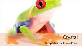  Presentation with tropical forest - Slide deck with red eyed tree frog agalychnis background and a yellow colored foreground