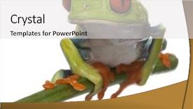  Presentation with red apple tree - Slides enhanced with red-eyed tree frog agalychnis background and a white colored foreground