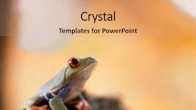  Presentation with costa rica - PPT theme having red-eyed-tree-frog-costa background and a coral colored foreground