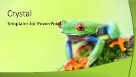  Presentation with costa rica - Presentation design featuring red eyed tree frog costa background and a blonde colored foreground