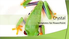  Presentation with red apple tree - Presentation enhanced with red eyed tree frog isolated background and a yellow colored foreground