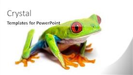  Presentation with frog - Presentation theme featuring red-eyed-tree-frog-looking background and a white colored foreground