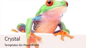  Presentation with frog - Amazing presentation design having red eyed tree frog backdrop and a lemonade colored foreground