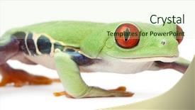  Presentation with red and white festive - Presentation with bright blue waves with squares background and a cool aqua colored foreground