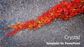  Presentation with fall-leaves - Slide deck with red-fall-leaves-on-creeping background and a  colored foreground