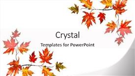  Presentation with fall leaves border autumn - Presentation having red fall maple leaves background and a sky blue colored foreground