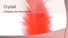  Presentation with feather - Colorful slide set enhanced with white knitting wool texture background backdrop and a light gray colored foreground.