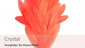  Presentation with carnival - PPT theme enhanced with red-features-on-white-background background and a coral colored foreground
