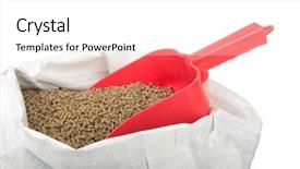  Presentation with supplement - PPT theme consisting of red feed scoop inserted background and a  colored foreground