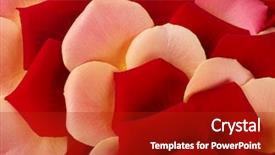  Presentation with roses - Slide deck enhanced with red floral background - bright petals of roses close background and a crimson colored foreground