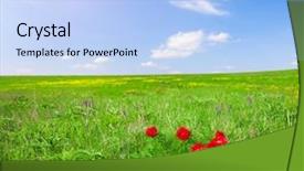  Presentation with red white blue - Presentation design enhanced with red flowers field under blue background and a light blue colored foreground