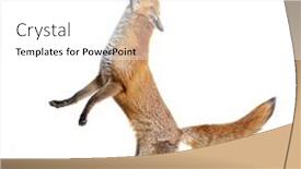  Presentation with fox - Slide deck consisting of red-fox-jumping-looking-up background and a white colored foreground