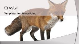  Presentation with red and white abstract - Slide deck with young woman cutting vegetables in the kitchen background and a coral colored foreground