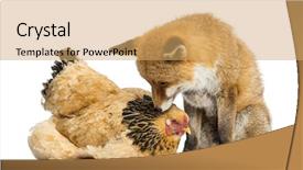  Presentation with hen - Beautiful slide deck featuring red fox vulpes vulpes sitting backdrop and a yellow colored foreground