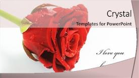  Presentation with water droplets - Slides consisting of love forever - red fresh rose with water background and a lemonade colored foreground