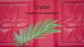  Presentation with plant - Slide deck with red front door with flower background and a red colored foreground
