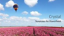  Presentation with hot spring - Audience pleasing theme consisting of red-garden-buttercups backdrop and a light blue colored foreground