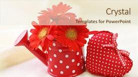  Presentation with red hibiscus rosa sinensis flower - PPT theme having red gerber flowers in red background and a cream colored foreground