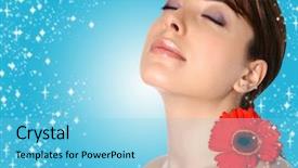  Presentation with blue spa - Amazing PPT theme having red gerbera on blue sparkly backdrop and a  colored foreground