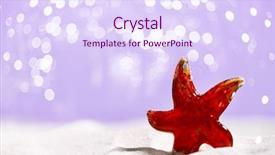  Presentation with fish beach - PPT layouts with red glass star fish on beach sand and festive glitter background background and a sky blue colored foreground
