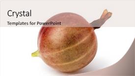  Presentation with gooseberry - Beautiful theme featuring red gooseberry isolated on white backdrop and a lemonade colored foreground