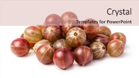  Presentation with gooseberry - PPT layouts with red gooseberry isolated on white background and a coral colored foreground