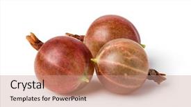 Presentation with gooseberry - Amazing slide deck having red gooseberry isolated on white backdrop and a coral colored foreground