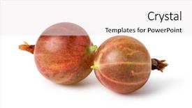  Presentation with gooseberry - Colorful PPT theme enhanced with red gooseberry isolated on white backdrop and a white colored foreground