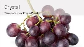  Presentation with grape - Slide deck with uva - red grape berry bunch isolated background and a white colored foreground