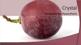  Presentation with grape - Colorful PPT theme enhanced with red grape berry isolated backdrop and a violet colored foreground