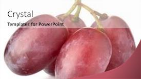  Presentation with grape - Cool new slide set with red grape bunch isolated on white background cutout backdrop and a white colored foreground