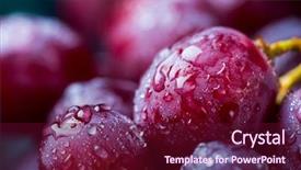  Presentation with water drops - PPT theme having red grape covered in water background and a wine colored foreground