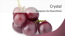  Presentation with grape - Audience pleasing slide set consisting of red grape isolated on white backdrop and a white colored foreground