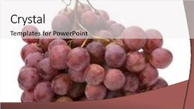  Presentation with grape - Slides consisting of red grape isolated on white background background and a white colored foreground