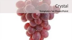  Presentation with grape - Presentation theme featuring red grape on white background background and a light gray colored foreground