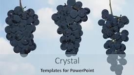  Presentation with blue food - PPT layouts with red grape vitis vinifera fruit vegetarian food over blue sky background and a light blue colored foreground