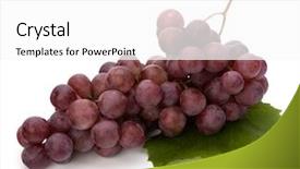  Presentation with grape - Theme enhanced with red grape whith leaf isolated background and a white colored foreground