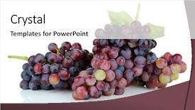  Presentation with art white gray grey - Presentation design with fresh grape isolated on white background and a white colored foreground