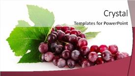  Presentation with pastel pink and gray - PPT theme consisting of pink grape isolated on white background and a white colored foreground