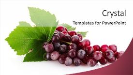  Presentation with pastel pink and gray - Theme with pink grape isolated on white background and a white colored foreground