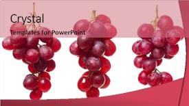  Presentation with purple green - Theme with purple grape bunches with green background and a red colored foreground