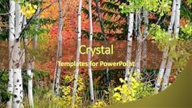  Presentation with green foliage - Slides featuring red green - autumn foliage including birch background and a tawny brown colored foreground