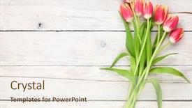  Presentation with top view - Amazing PPT theme having red green - colorful tulips on wooden table backdrop and a sky blue colored foreground