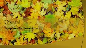  Presentation with yellow green - Presentation design having red-green-and-yellow-leaves background and a gold colored foreground